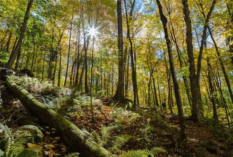 Toppvandringar i Vermont