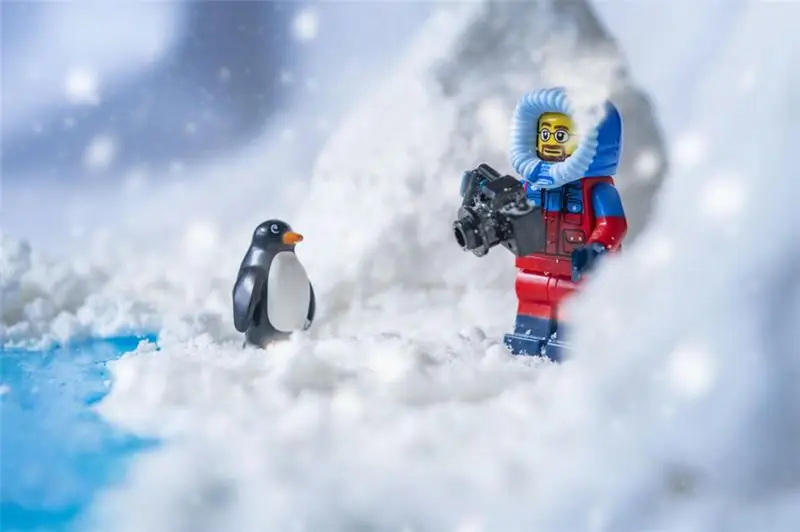 foto en miniatura de un hombre fotografiando un pingüino