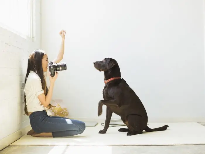 Žena fotografujúca psa v štúdiu